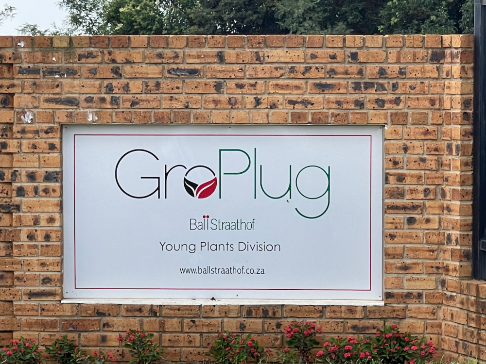 2022 Annual Conference - Visit to GroPlug, BallStraathof Young Plants Division