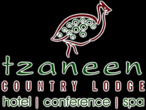 20th Annual Conference - Southern Africa 2017